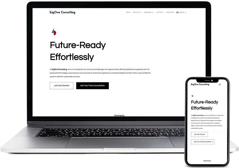 Dawa Agence Web - Portfolio - bigOne Consulting